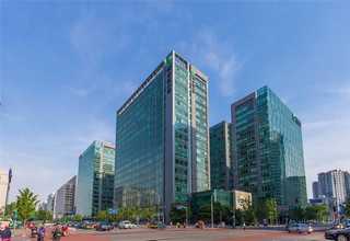 稷山钙果树苗报价行情